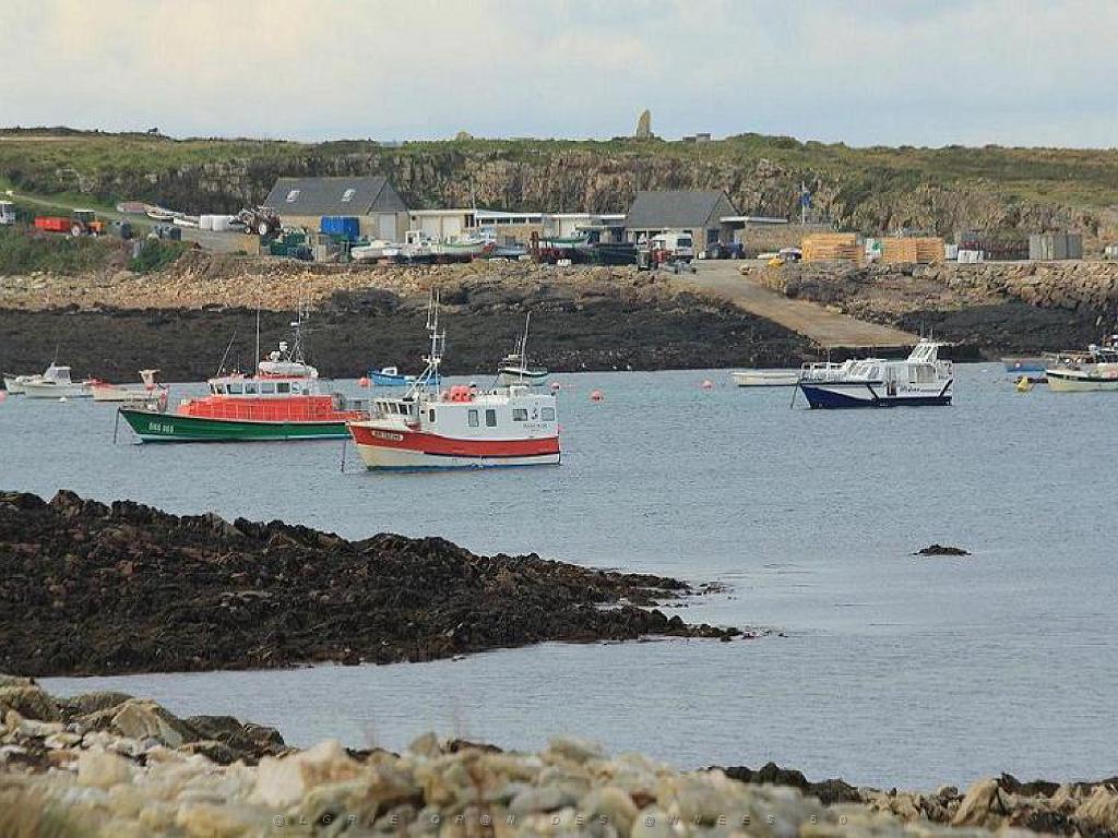 129 ILE DE MOLENE_000011.jpg